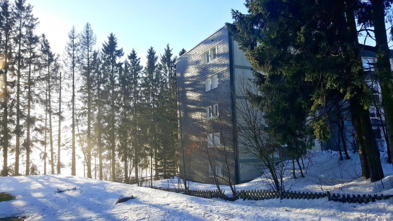 Ferienappartement Winterberg - Bikepark Um Die Ecke ภายนอก รูปภาพ